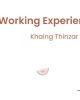 6 Months Working Experience
